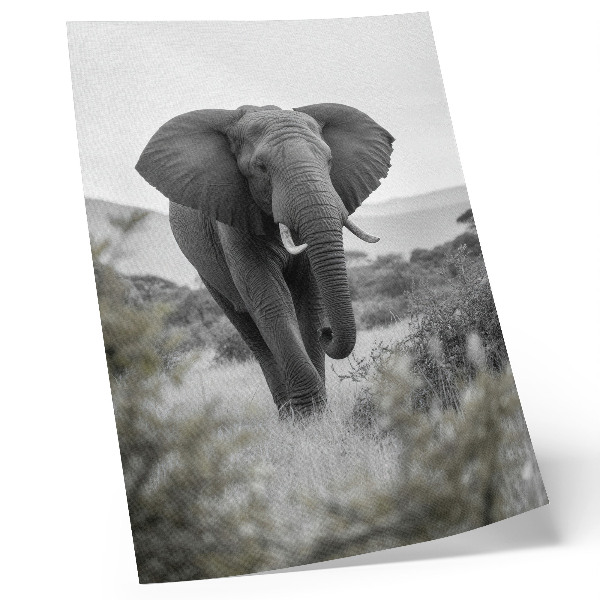Impression sur toile Un grand éléphant sur fond naturel