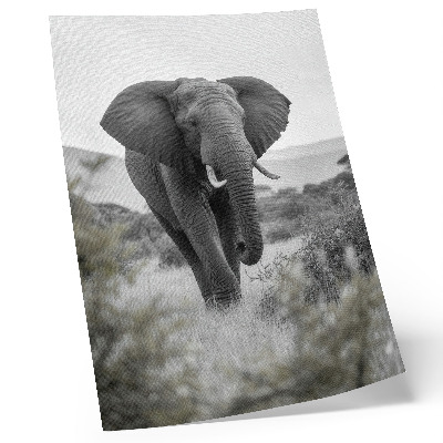 Impression sur toile Un grand éléphant sur fond naturel