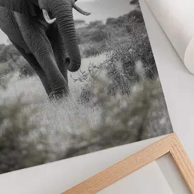 Impression sur toile représentant un grand éléphant sur fond naturel