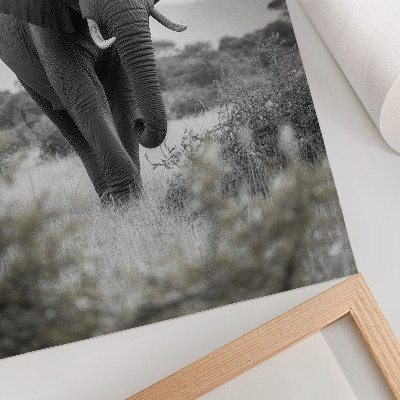 Impression sur toile Un grand éléphant sur fond naturel