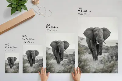 Impression sur toile représentant un grand éléphant sur fond naturel
