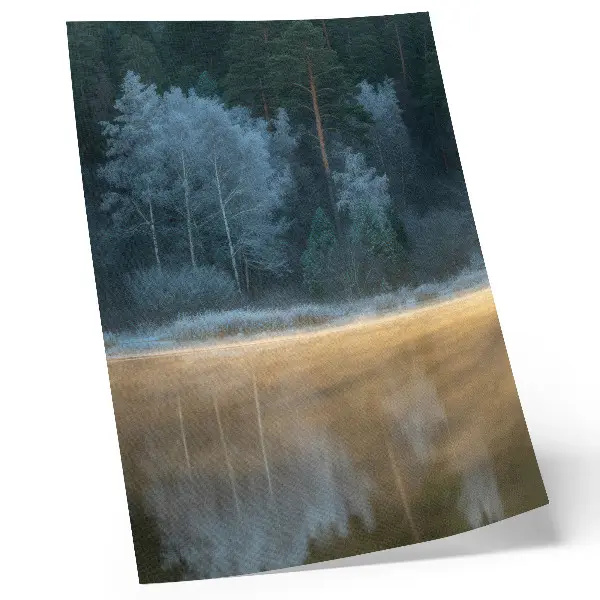 Affiche décorative représentant une forêt mystique au-dessus de l'eau