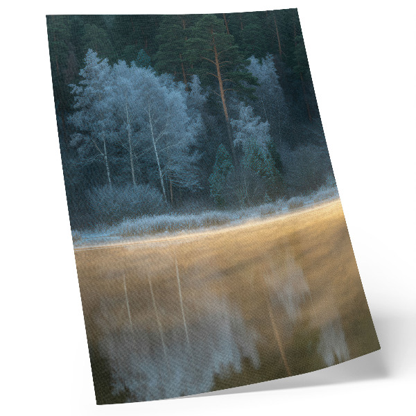 Affiche décorative Une forêt silencieuse au-dessus de la surface de l'eau, une aura mystique