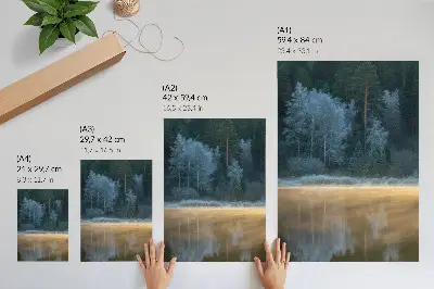 Affiche décorative représentant une forêt mystique au-dessus de l'eau