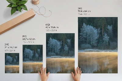 Affiche décorative Une forêt silencieuse au-dessus de la surface de l'eau, une aura mystique