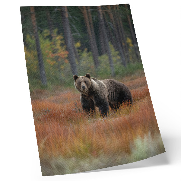 Affiche décorative L'ours dans la nature et la paix de la forêt d'automne