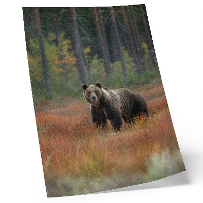 Affiche décorative L'ours dans la nature et la paix de la forêt d'automne