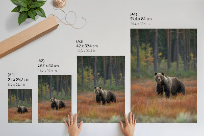 Affiche décorative L'ours dans la nature et la paix de la forêt d'automne