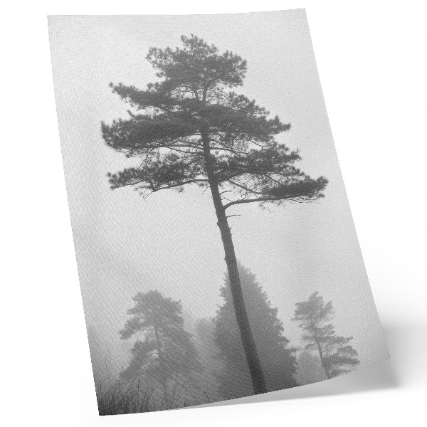 Décoration murale Arbre noir et blanc dans le brouillard, silence unique