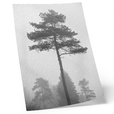 Décoration murale Arbre noir et blanc dans le brouillard, silence unique