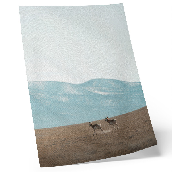 Affiche décorative Des antilopes sur fond de montagnes, un espace paisible