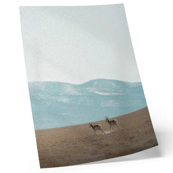 Affiche décorative représentant des antilopes dans un paysage de montagnes paisible
