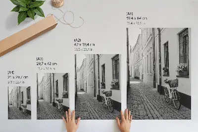 Décoration murale représentant une rue avec des immeubles d'habitation, des fleurs et un vélo en noir et blanc