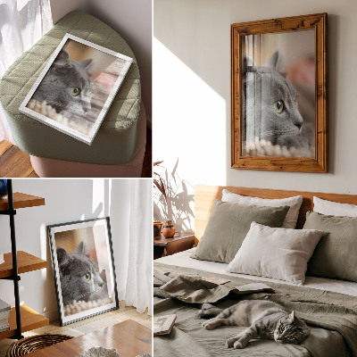 Impression sur toile Chat gris aux yeux verts, regard rapproché