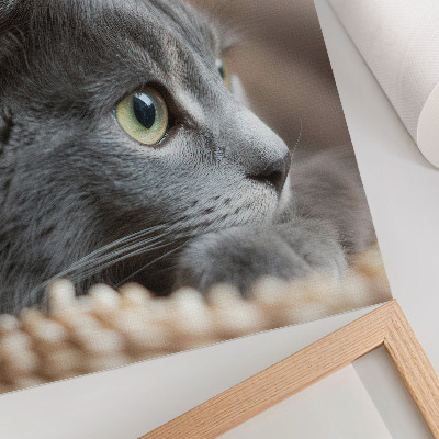 Impression sur toile Chat gris aux yeux verts, regard rapproché