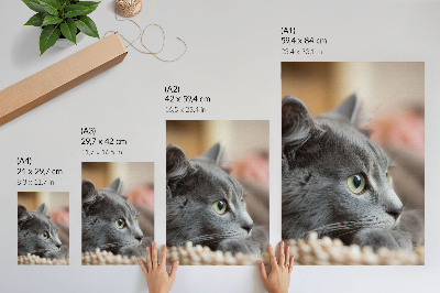 Impression sur toile Chat gris aux yeux verts, regard rapproché