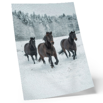Impression sur toile Chevaux noirs en mouvement sur fond enneigé