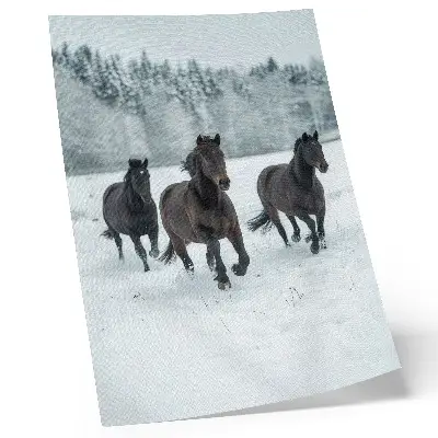 Impression sur toile représentant des chevaux noirs en mouvement sur un fond enneigé