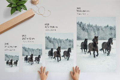 Impression sur toile Chevaux noirs en mouvement sur fond enneigé