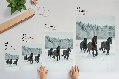 Impression sur toile représentant des chevaux noirs en mouvement sur un fond enneigé
