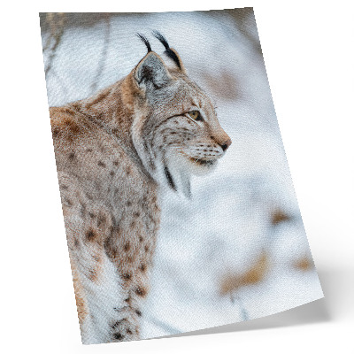 Affiche décorative Rysy en hiver, la beauté de la nature, l'harmonie des couleurs naturelles