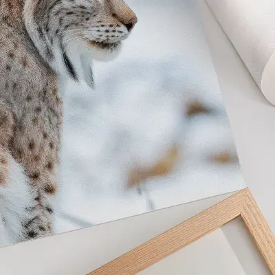 Affiche décorative le mont Rysy en hiver avec ses couleurs naturelles harmonieuses