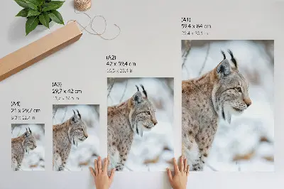 Affiche décorative le mont Rysy en hiver avec ses couleurs naturelles harmonieuses
