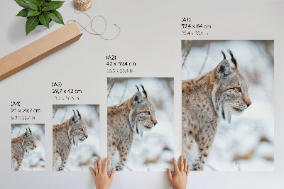 Affiche décorative Rysy en hiver, la beauté de la nature, l'harmonie des couleurs naturelles