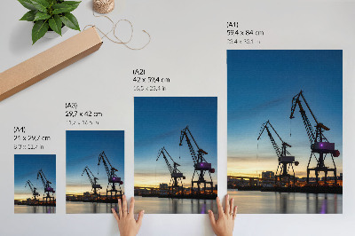 Décoration murale Des grues se détachant sur un coucher de soleil dynamique.