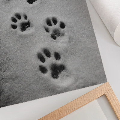 Décoration murale Des empreintes de pattes dans la neige blanche, un soupçon de mystère