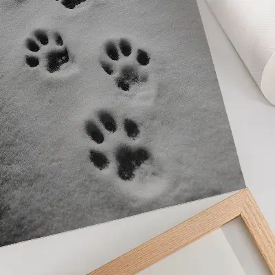 Décoration murale empreintes de pattes dans la neige blanche avec une touche de mystère