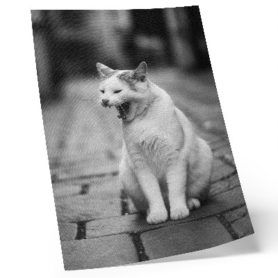 Impression sur toile Chat adorable dans une rue pavée à l'esthétique noir et blanc