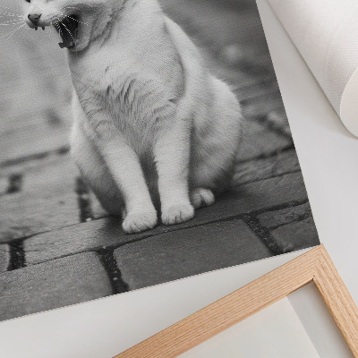 Impression sur toile Chat adorable dans une rue pavée à l'esthétique noir et blanc