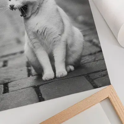 Impression sur toile chat adorable dans une rue pavée esthétique noir et blanc