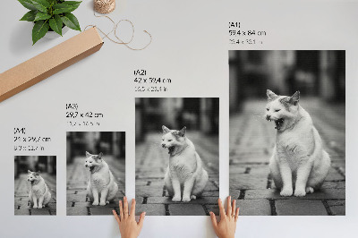 Impression sur toile Chat adorable dans une rue pavée à l'esthétique noir et blanc