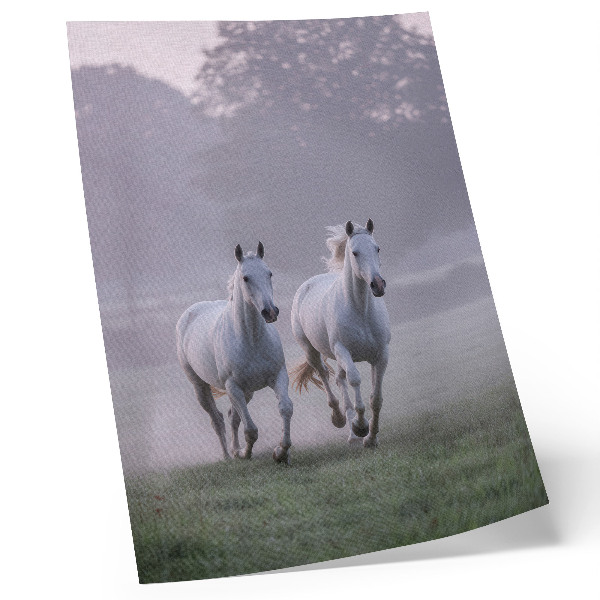 Impression sur toile chevaux blancs, brouillard matinal, espace, nature