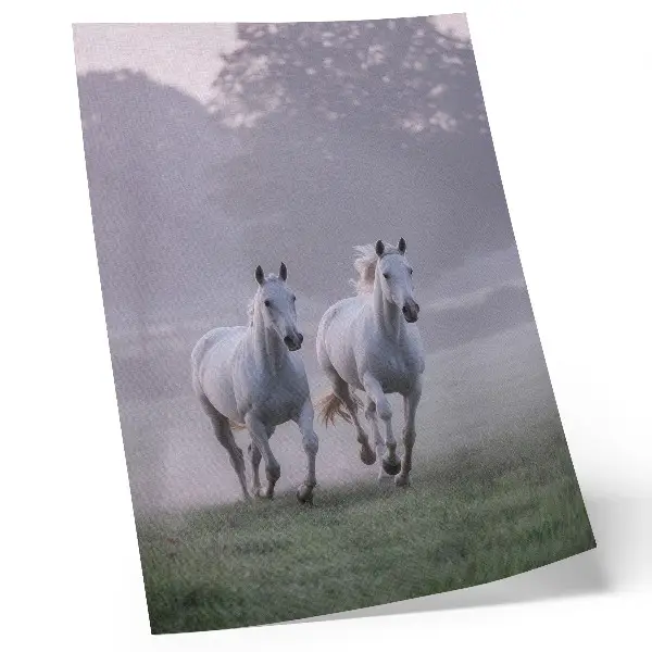 Impression sur toile représentant des chevaux blancs dans le brouillard matinal au sein d'une nature sauvage