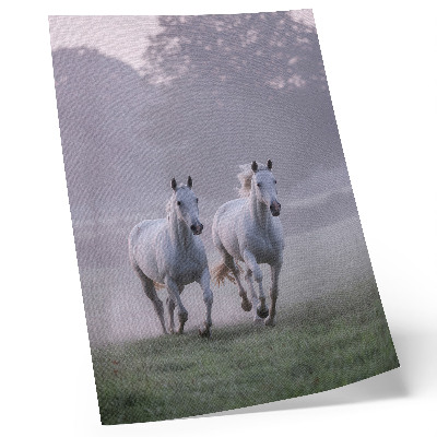 Impression sur toile chevaux blancs, brouillard matinal, espace, nature