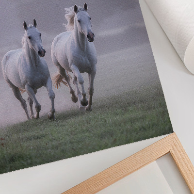 Impression sur toile chevaux blancs, brouillard matinal, espace, nature