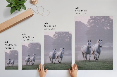 Impression sur toile chevaux blancs, brouillard matinal, espace, nature