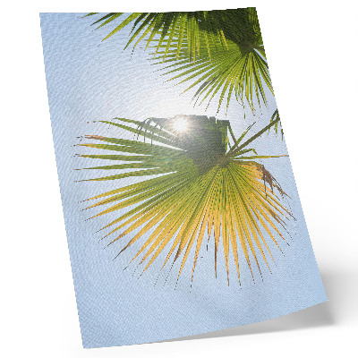 Décoration murale Feuilles de palmier sur fond bleu, soleil