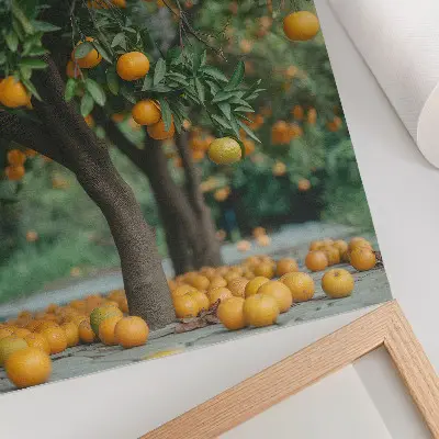 Affiche décorative oranges juteuses sur un arbre dans un verger verdoyant