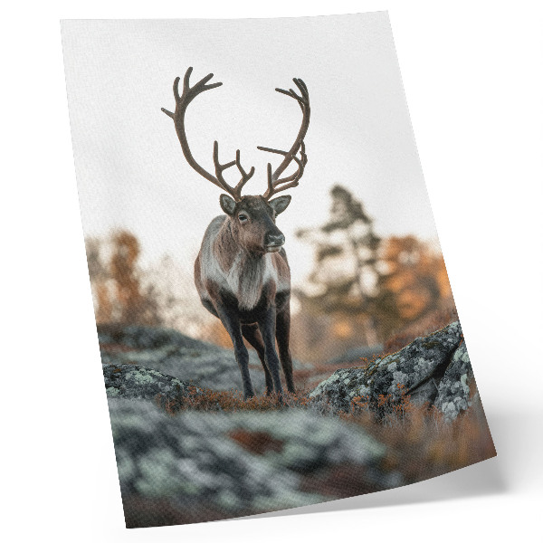 Décoration murale Des cerfs se détachant sur un fond de rochers et d'arbres dans un paysage d'automne
