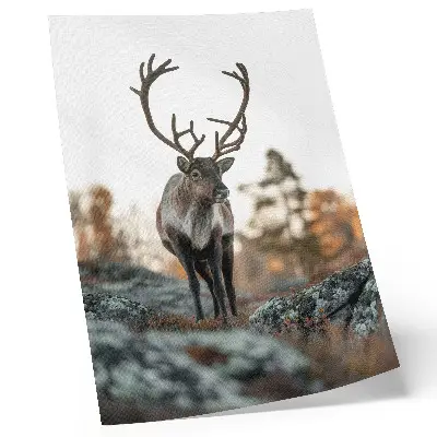 Décoration murale représentant des cerfs dans un paysage automnal avec des rochers et des arbres