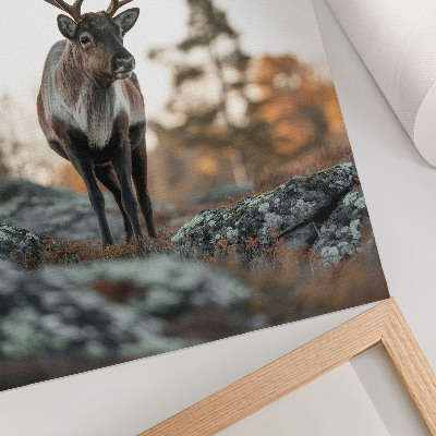 Décoration murale Des cerfs se détachant sur un fond de rochers et d'arbres dans un paysage d'automne
