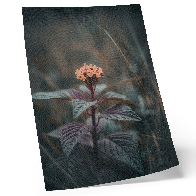 Impression sur toile Une plante à fleur colorée sur fond vert