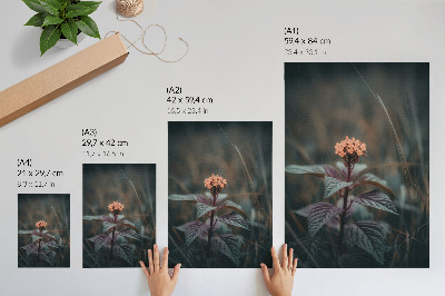 Impression sur toile Une plante à fleur colorée sur fond vert