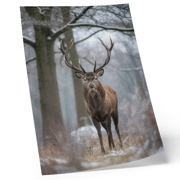 Affiche décorative Cerfs dans la majestueuse forêt hivernale aux nuances de gris