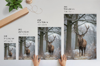 Affiche décorative Cerfs dans la majestueuse forêt hivernale aux nuances de gris