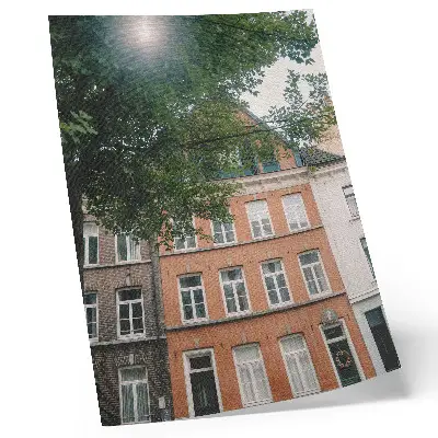Décoration murale façades colorées avec arbres verts sous un ciel ensoleillé